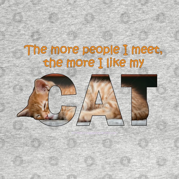 The more people I meet the more I like my cat - ginger cat oil painting word art by DawnDesignsWordArt